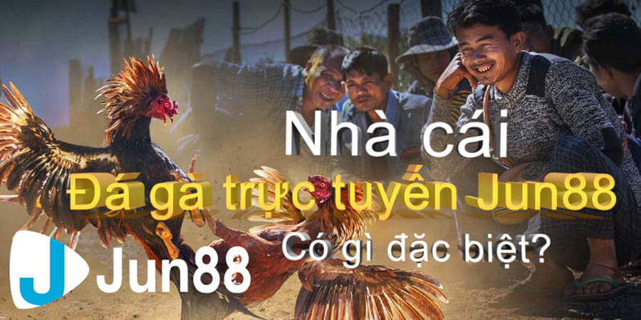 Hướng dẫn xem và chơi đá gà online trên điện thoại tại Jun88 3 Jun88- nhà cái chơi đá gà online uy tín