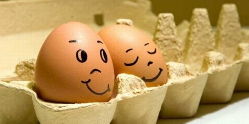 Mơ thấy trứng Jun88 - Điềm báo gì cho bạn và đánh con số gì? 6 Mơ thấy trứng có rất nhiều những con số may mắc khác nhau (Nguồn: Internet).